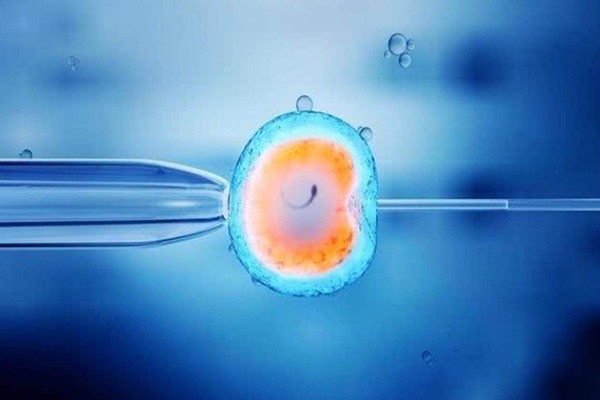 为什么有些男性做借卵试管婴儿需要显微镜下取精？