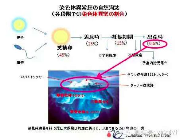 上海做供卵做试管婴儿的医院哪家好？哪家医院值得信赖？