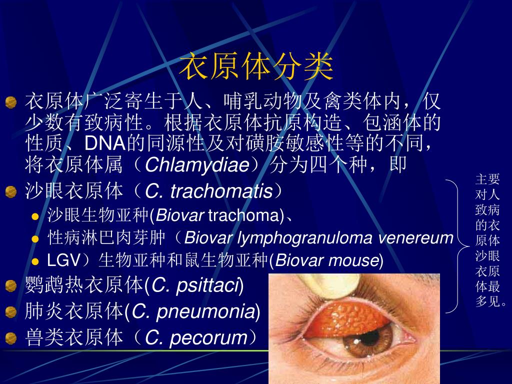 如何在西安捐献卵子