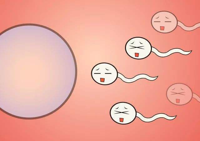 南昌供卵不排队医院名单公开,附2023供卵生男孩条件及费用