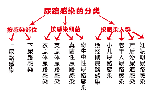 北医三院做借卵自怀做供卵试管一次成功的概率有多高