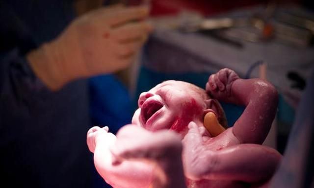 上海妇幼保健院供卵试管婴儿成功率