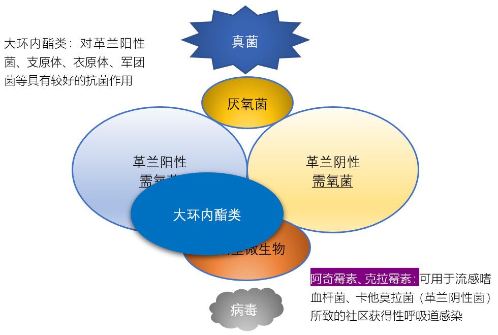 供卵试管婴儿查免疫12项包括哪些