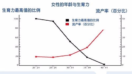 谢娜头胎是借卵做试管婴儿吗